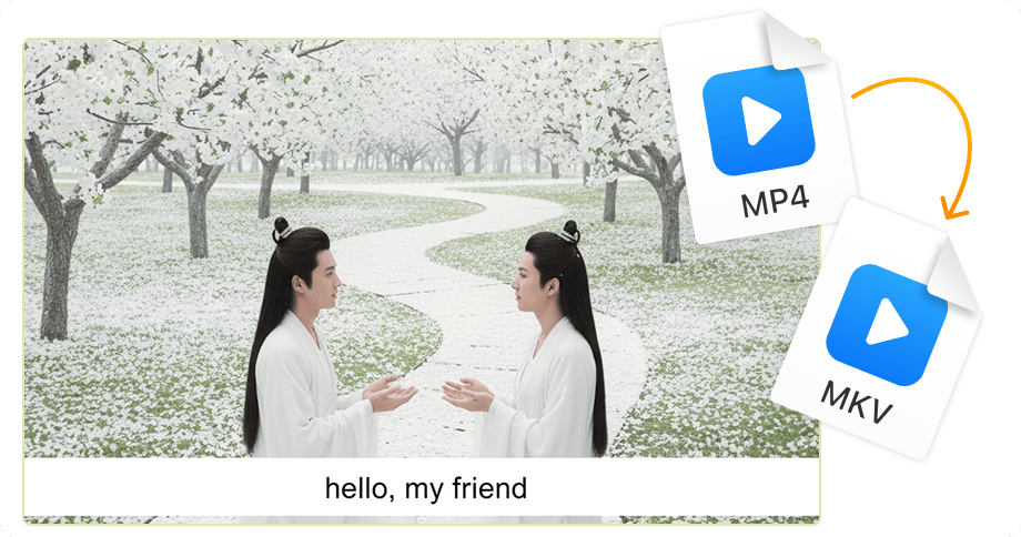 หลายแทร็กเสียงและซับไตเติ้ล